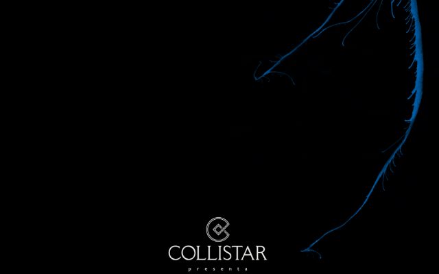 catalogo INCA per Collistar copertina